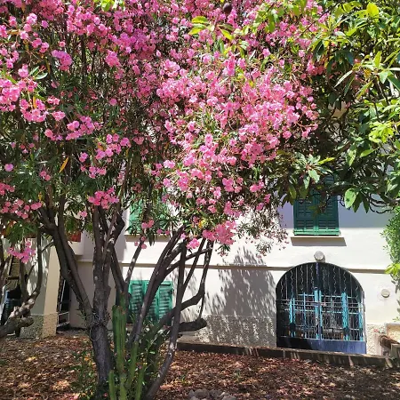 Apartment T3 Waller Proche Plages Et Centre-ville