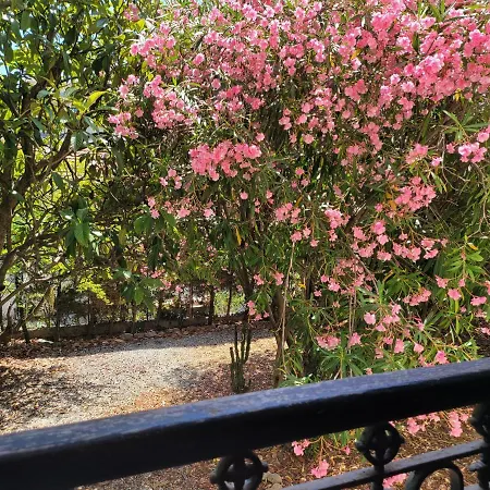 T3 Waller Proche Plages Et Centre-ville Daire *