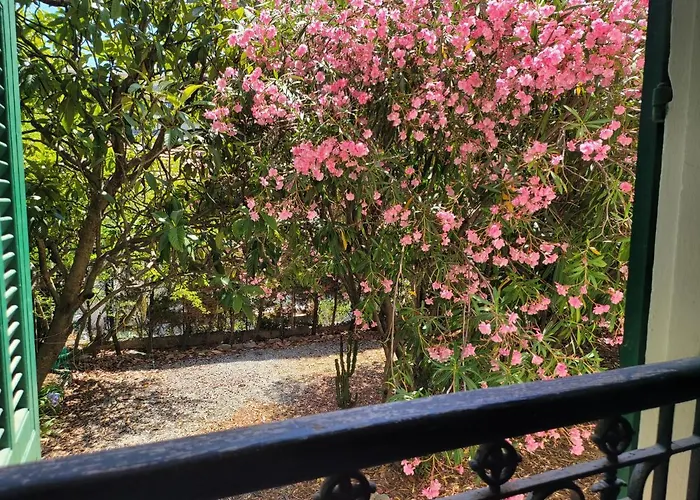 T3 Waller Proche Plages Et Centre-ville Daire *