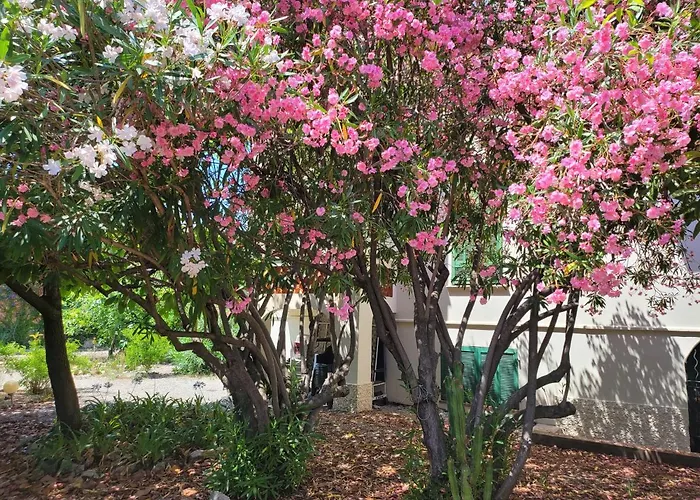 Daire T3 Waller Proche Plages Et Centre-ville